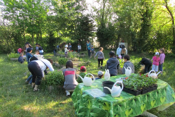 Programme pédagogique 2016/2017 Programme pédagogique 2016/2017
