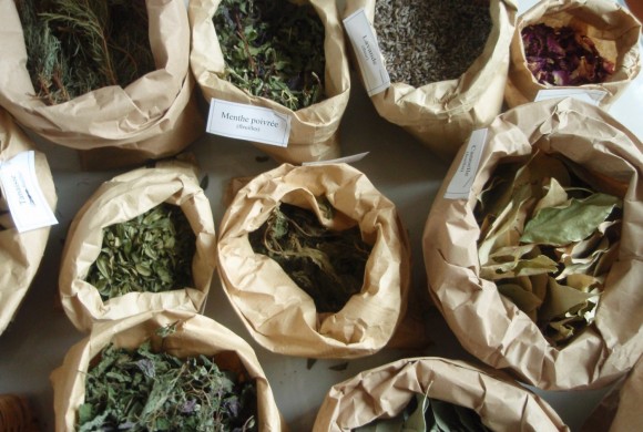 Ateliers adultes « Plantes à parfum » – 27 et 31 mai Ateliers adultes « Plantes à parfum » – 27 et 31 mai