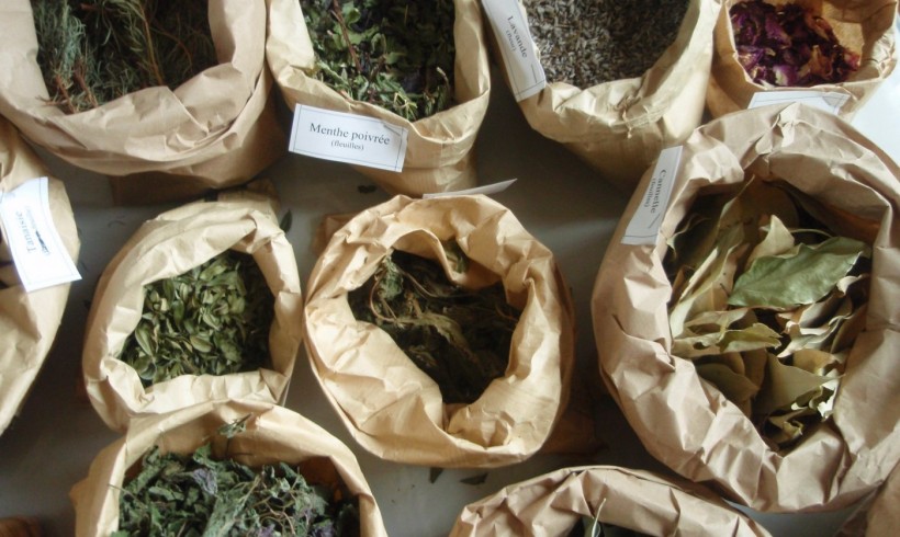 Ateliers adultes « Plantes à parfum » – 27 et 31 mai Ateliers adultes « Plantes à parfum » – 27 et 31 mai