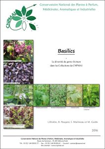 premiere page publication basilic