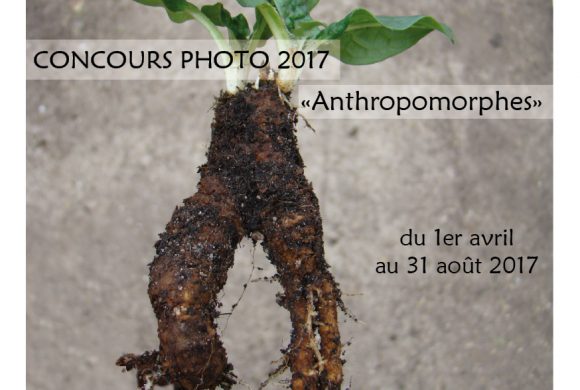 Concours photo 2017 Concours photo 2017