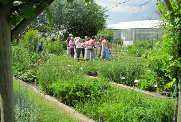 Fête de la Nature – Samedi 20 mai Fête de la Nature – Samedi 20 mai