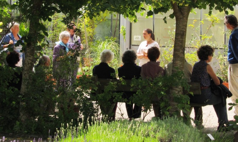 Le bouturage : comment ça marche ? - Conservatoire National des Plantes