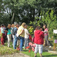 2014-09-28 atelier plantes a fibres