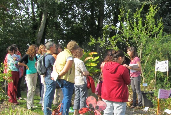 Les ateliers adultes en juillet-août