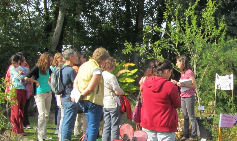 Les ateliers adultes en juillet-août