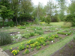 Le jardin des plantes protégées