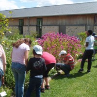 Offre de service civique – éducation à l’environnement et tourisme