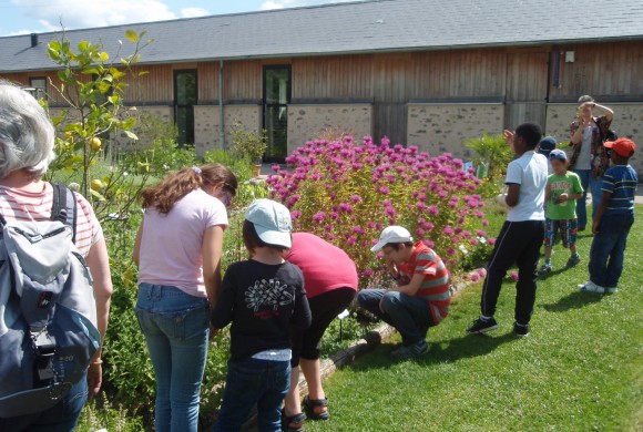 (Français) Offre de service civique – éducation à l’environnement et tourisme