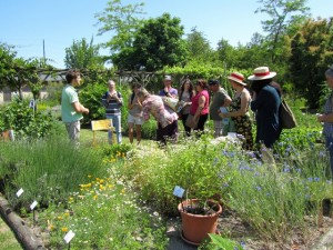 Visite guidée des Rendez-vous au Jardin