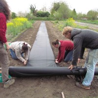 mise en place de parcelles d'essai