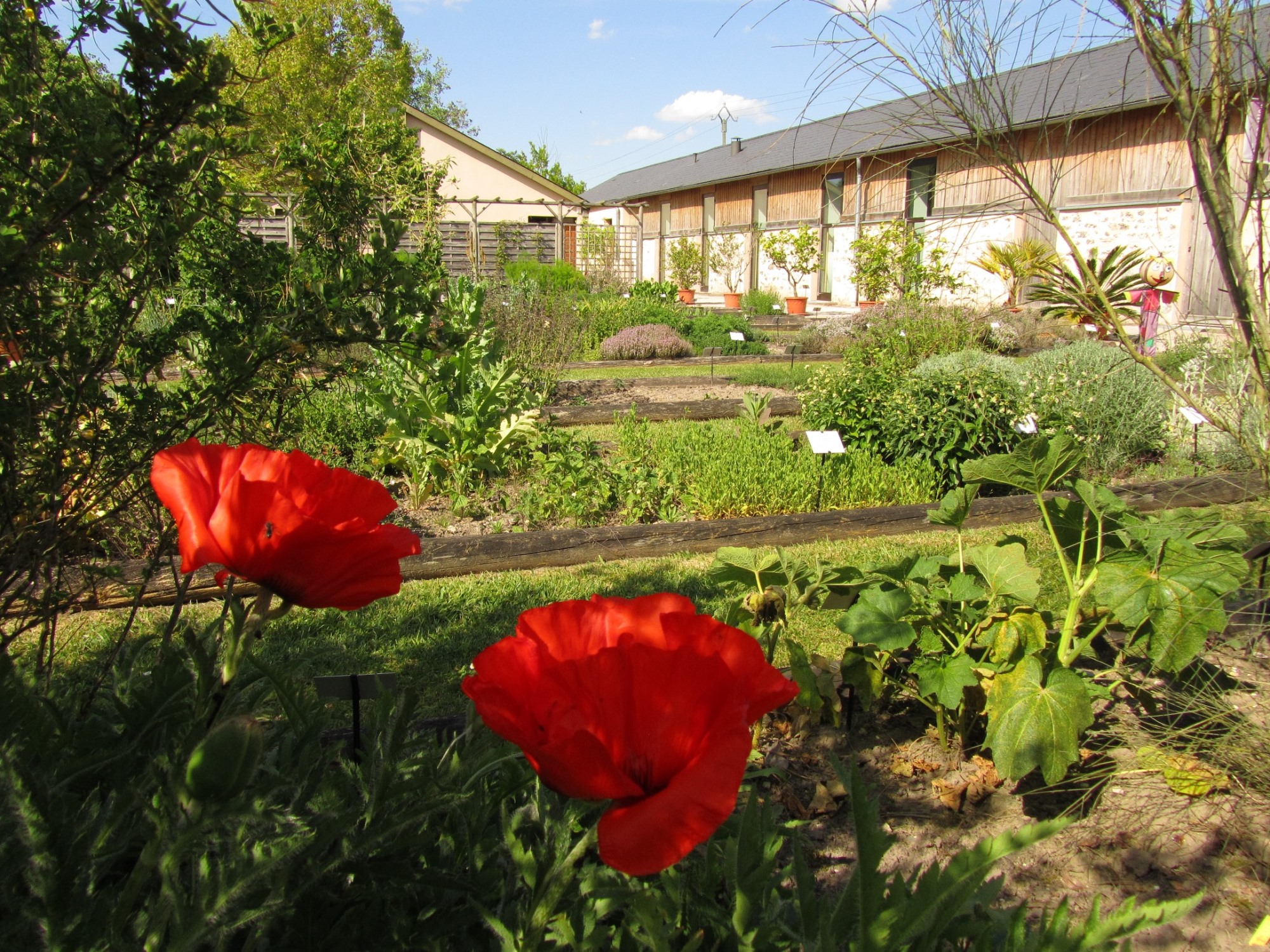  Les jardins