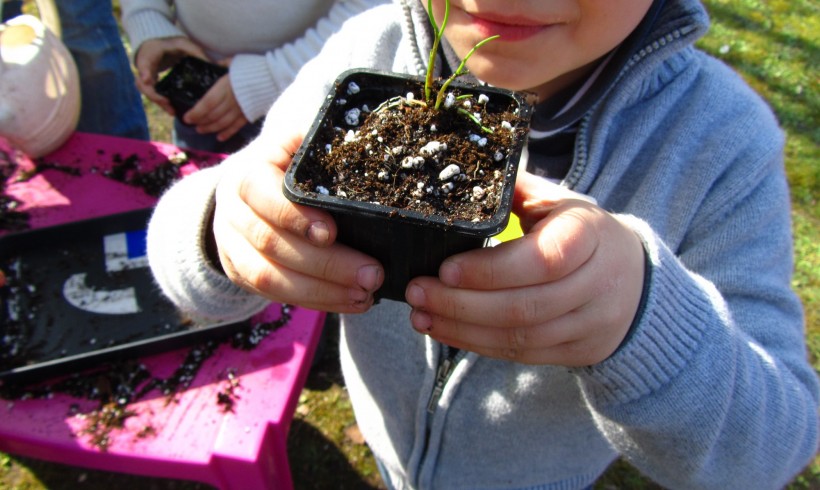 Offre de stage – Education à l’environnement