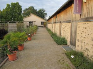 Jardins en novembre