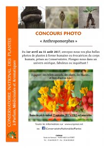 Affiche concours photo 2017