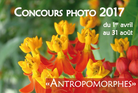 Concours photo 2017