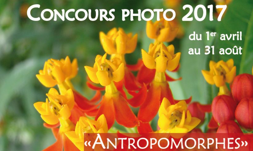 Concours photo 2017