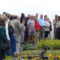 Visite guidée technique par Sarah Martineau