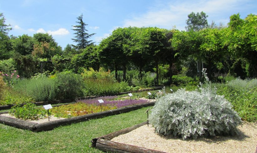 Mise en place du paillage de chanvre