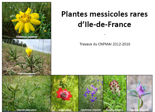 Une nouvelle publication du CNPMAI sur… la situation des plantes messicoles menacées en Ile-de-France !