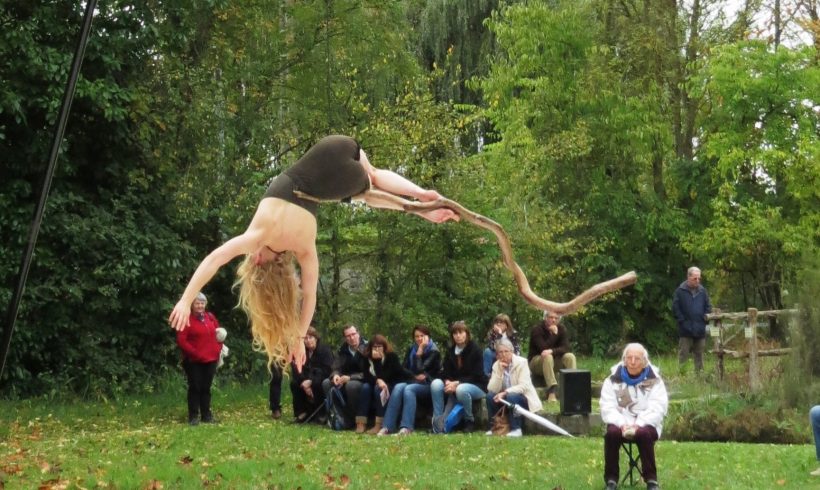 (Français) Retour sur l’évènement Spectacles de danse au Conservatoire