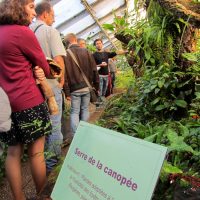 Jardin Botanique de Lyon - Serre de la canopée