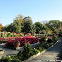 Jardin botanique de Lyon