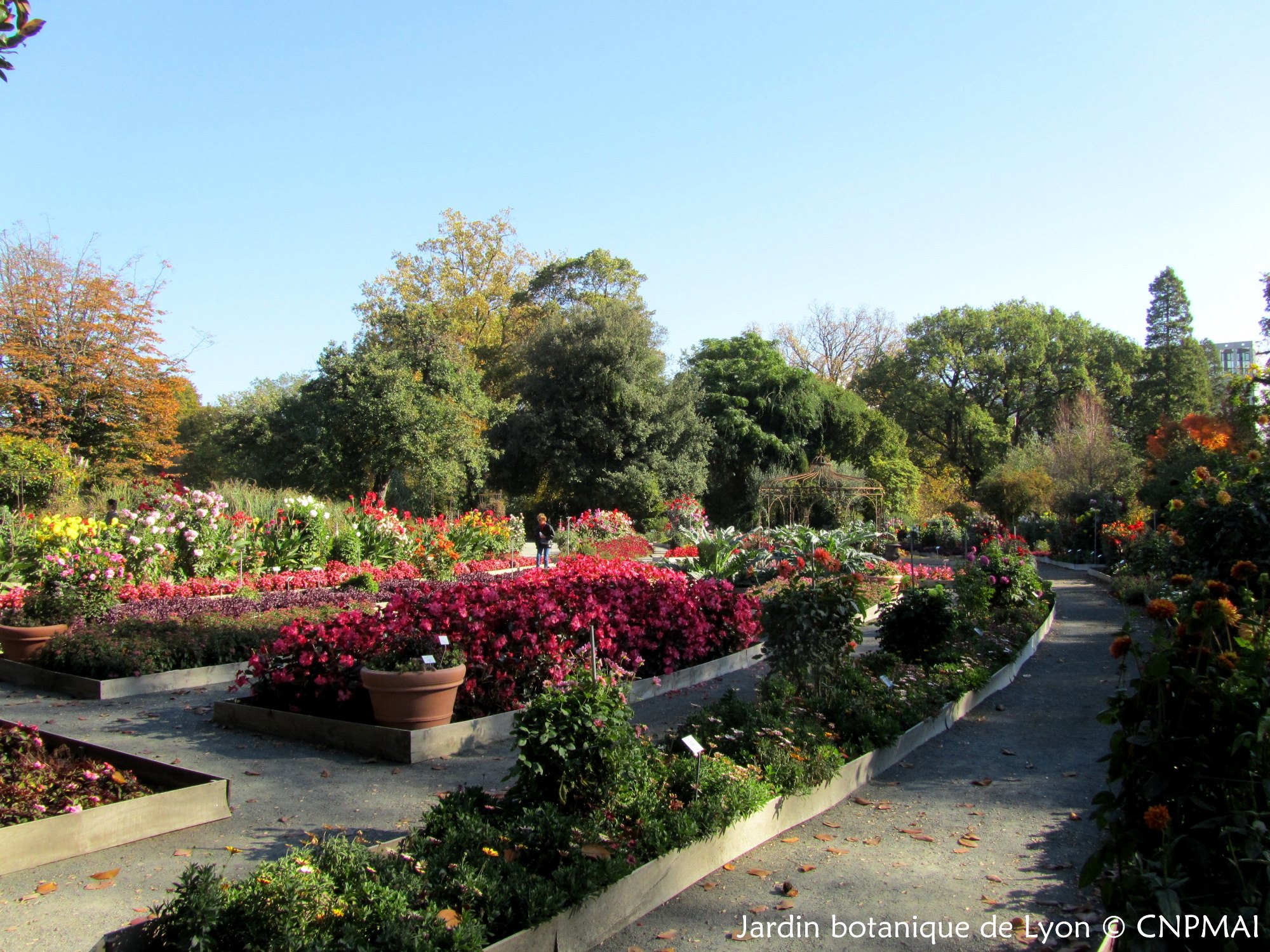 Plantes carnivores - Jardin botanique de Lyon