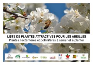 publication plantes mellifères