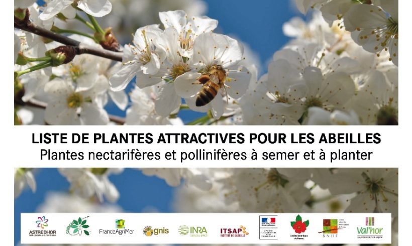 Publication – Liste de plantes attractives pour les abeilles