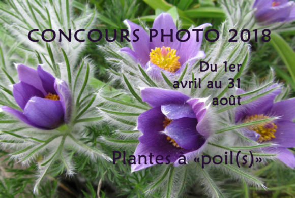 Concours photo 2018 Concours photo 2018