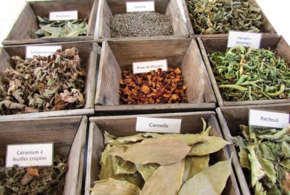 Ateliers adultes “Plantes à parfum” – 23 et 26 mai Ateliers adultes “Plantes à parfum” – 23 et 26 mai