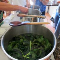 2018-07-07- stage teintures vegetales (46)