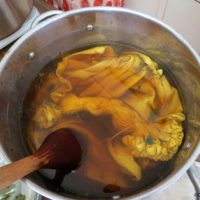 2018-07-07- stage teintures vegetales (61)