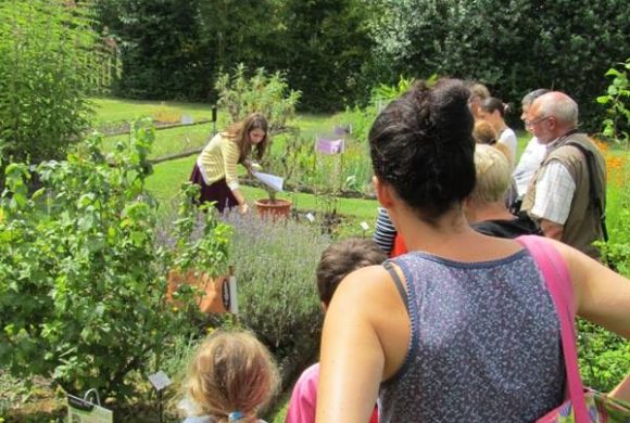 Visites guidées “ethnobotaniques” de juillet-août