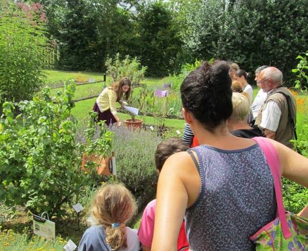 Visites guidées “ethnobotaniques” de juillet-août