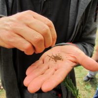 Stage produire ses plants et graines fin août (1)