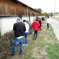 2018-10-06 et 07 stage produire ses graines et plants - CNPMAI (37)