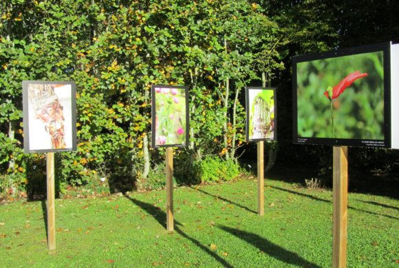 L’exposition du concours photo 2017 en voyage à l’école