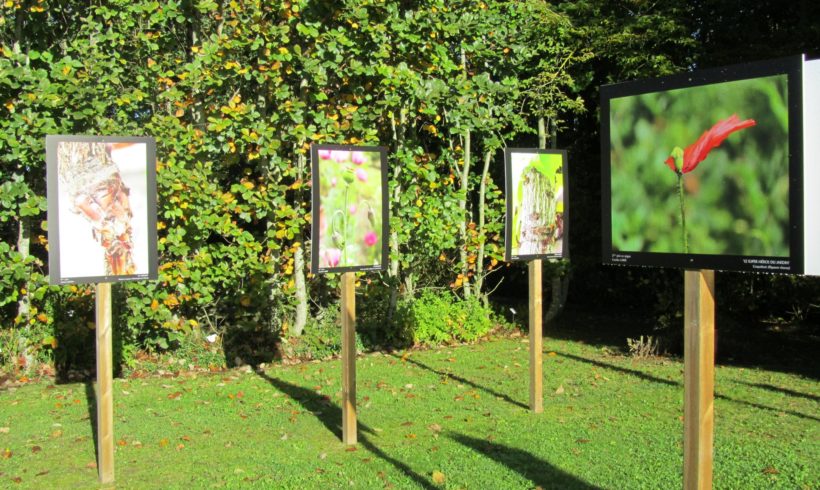 L’exposition du concours photo 2017 en voyage à l’école