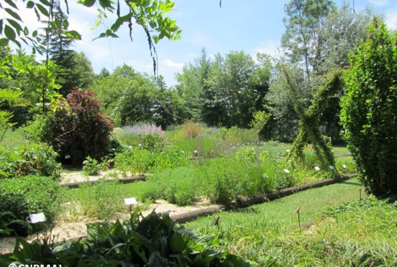 Jardin confiné