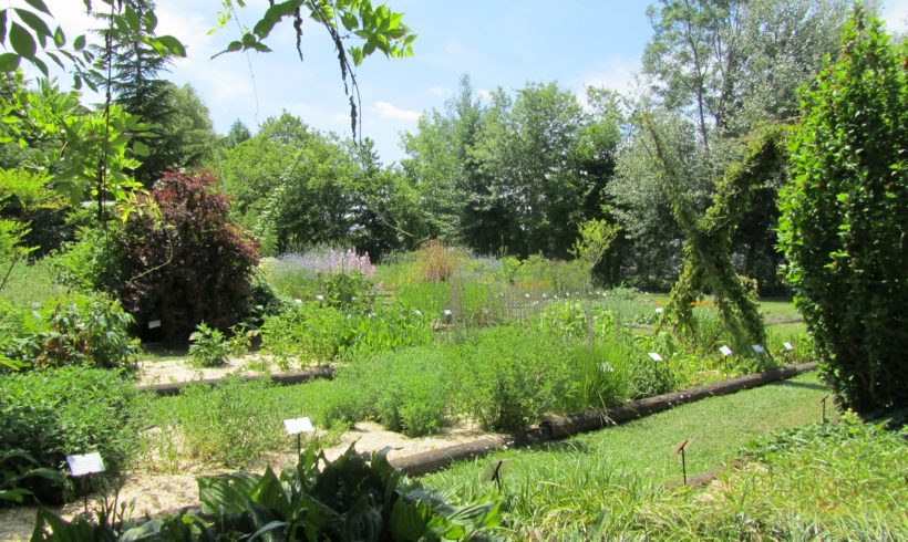 Jardin confiné