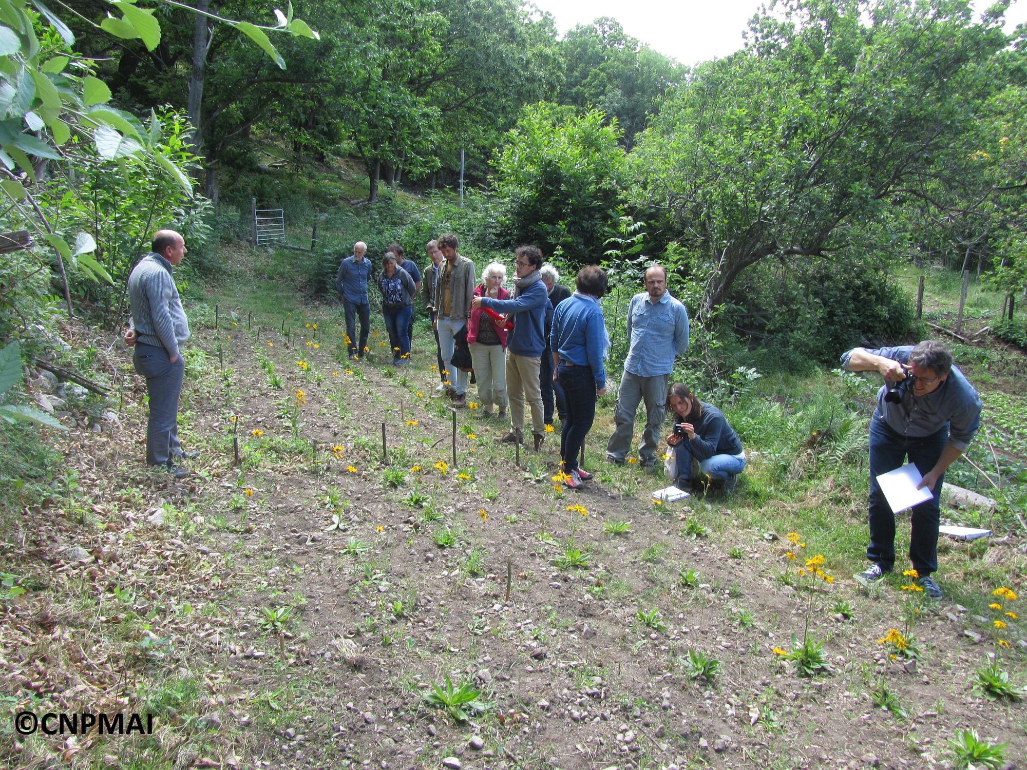 Visite bout de champ - 06-06-19 (8)