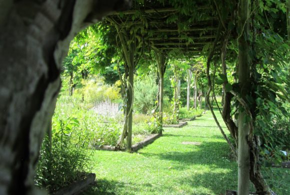 Le CNPMAI se met à l’heure d’été