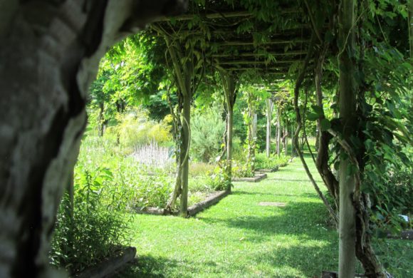 Le CNPMAI se met à l’heure d’été Le CNPMAI se met à l’heure d’été