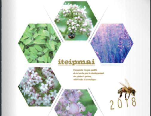(Français) L’iteipmai publie son rapport d’activités annuel (Français) L’iteipmai publie son rapport d’activités annuel