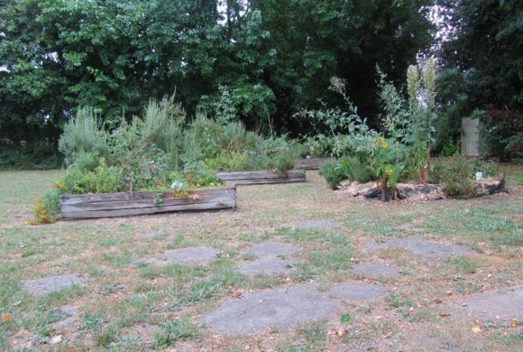 Chantier bénévole : remise en état du jardin pédagogique