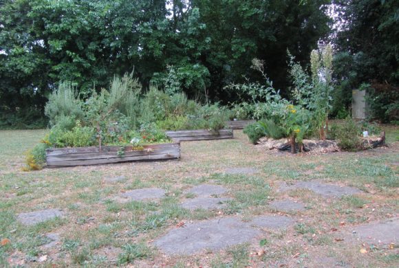 (Français) Chantier bénévole : remise en état du jardin pédagogique (Français) Chantier bénévole : remise en état du jardin pédagogique