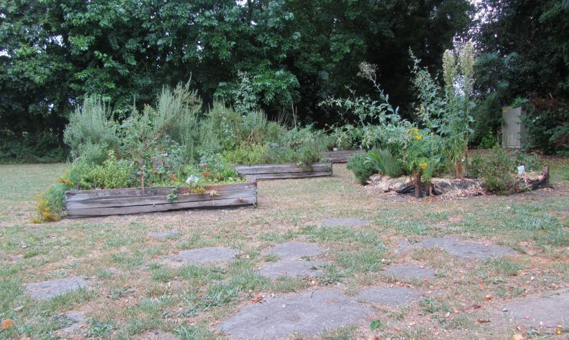 (Français) Chantier bénévole : remise en état du jardin pédagogique