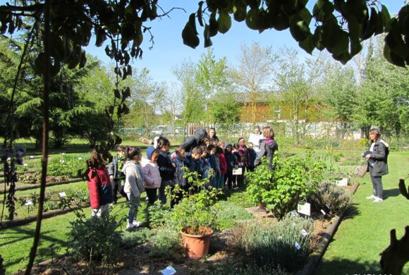 Offre de stage – Education à l’environnement